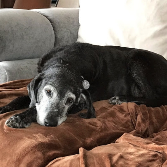 Meet your Posher, Vojtech - Picture 3 of 3